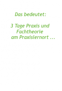 Slide Nummer 11