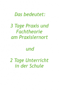 Slide Nummer 12